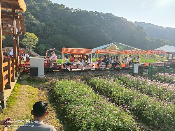 观光小火车深受游客的喜爱