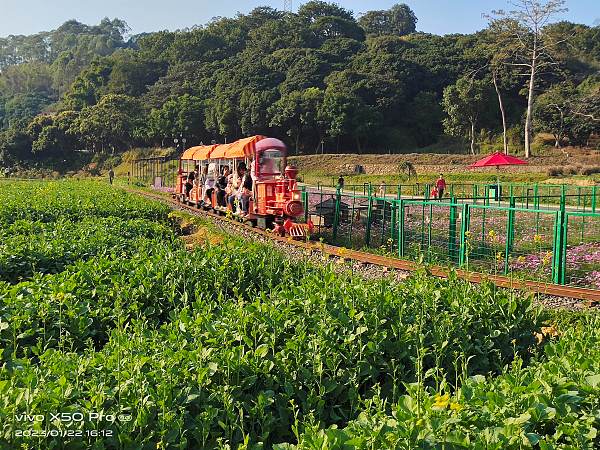 手机传图1 手机传图1