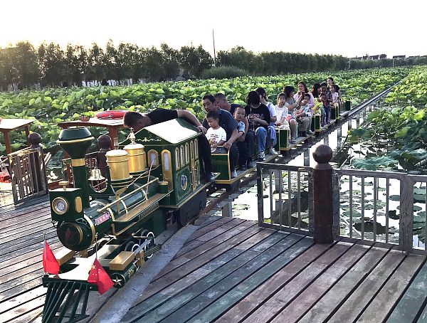 江苏省南通市如皋市荷塘月色