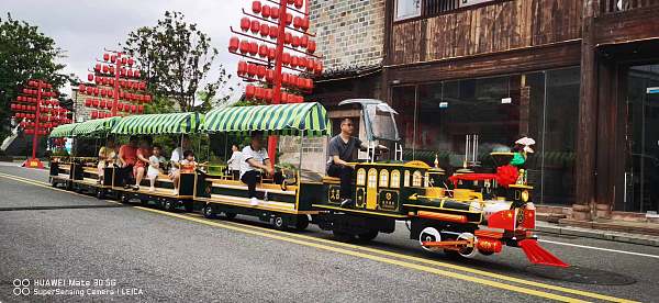 20座骑跨式网红无轨小火车