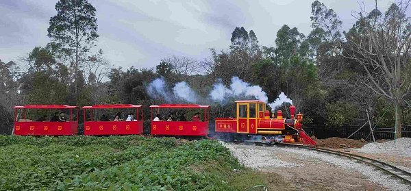 HYC-24座轨道观光火车