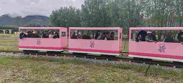 小猪轨道观光火车